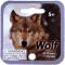 WOLF - MEGA MARBLES - MEGA MARBLES 24+1 (2013-2018) (FACE)